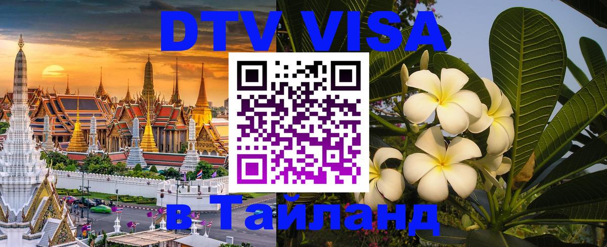 Оформление DTV визы под ключ: стоимость и тарифы, только загранпаспорт - 